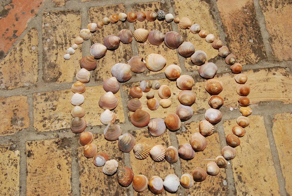 Affittacamere Casa Leonor Vejer de la Frontera Esterno foto